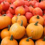 POTENTIAL OF FOUR BOTANICAL OILS AGAINST THE RED PUMPKIN BEETLE ATTACKING SWEET GOURD